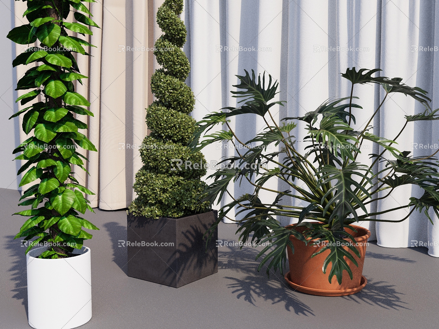 Bonsai Bonsai Indoor Green Plant Indoor Flowers Potted Plant Indoor Plant 3d model