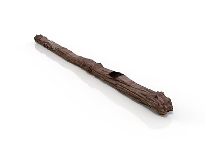 Natural Plant Wood Log With Textured Surface And Small Black Object On White Background 3d model