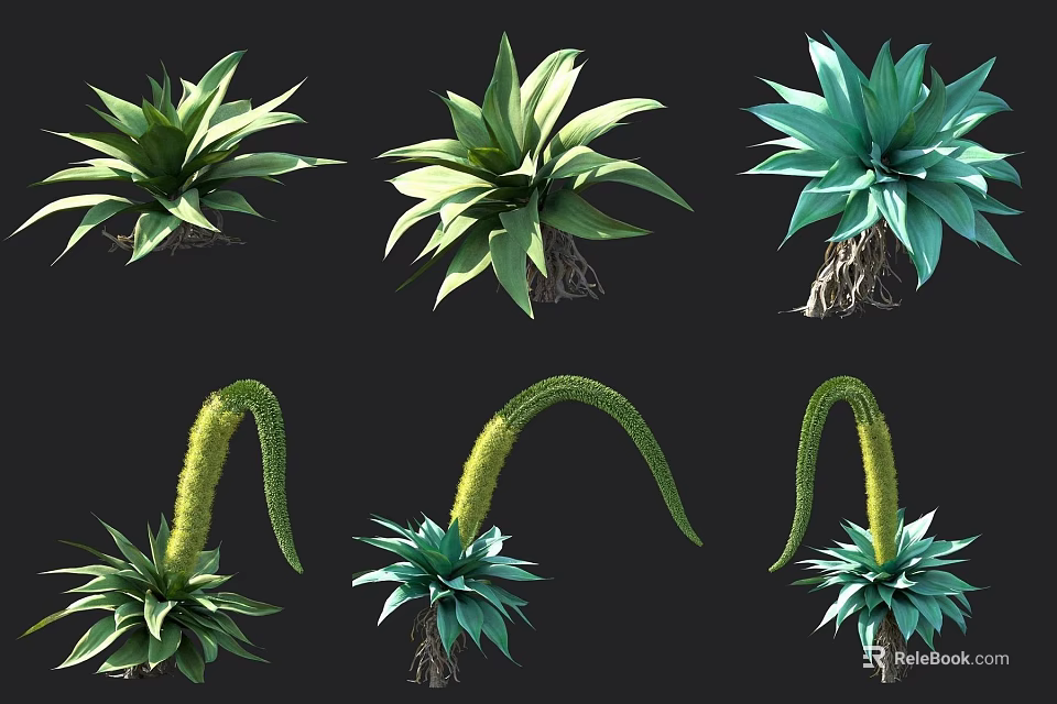 Various Types of Shrubs with Green Blue Leaves and Yellow Flowering Stems 3d model 