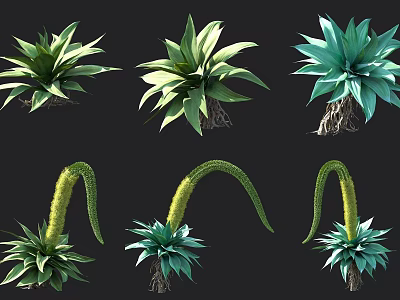 Various Types of Shrubs with Green Blue Leaves and Yellow Flowering Stems 3d model