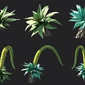 Various Types of Shrubs with Green Blue Leaves and Yellow Flowering Stems