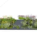 Diverse Colorful Shrubs For Garden Landscape With Various Greenery And Flowers