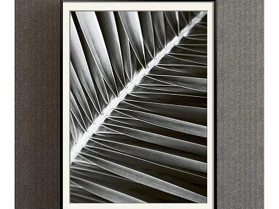 Black and White Palm Leaf Plant Painting in Black Frame on Gray Wall 3d model