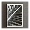 Black and White Palm Leaf Plant Painting in Black Frame on Gray Wall
