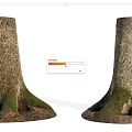 Natural Stone And Wood Tree Stumps With Mossy Roots And Textured Bark
