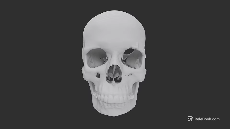 Detailed White Human Skull With Eye Sockets And Teeth On Black Background 3d model 