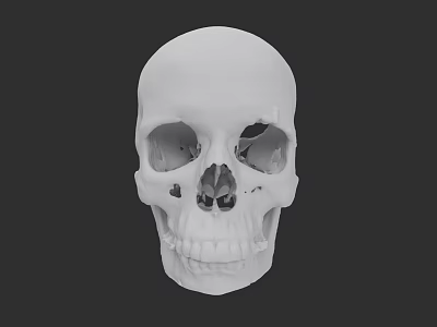 Detailed White Human Skull With Eye Sockets And Teeth On Black Background 3d model