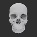 Detailed White Human Skull With Eye Sockets And Teeth On Black Background