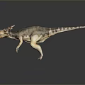 Detailed Dinosaur Model With Spiked Head And Colorful Skin On Gray Background With Reflective Surface