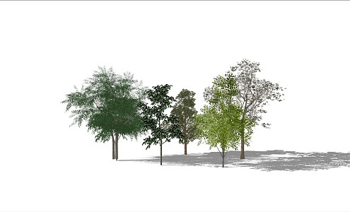 Modern Trees 3d model