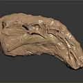 Copper Colored Textured Medical Device Anatomical Model With Reflective Surface And Detailed Texture