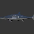 Blue Prehistoric Ichthyosaur Marine Creature Model With White Patches And Long Snout