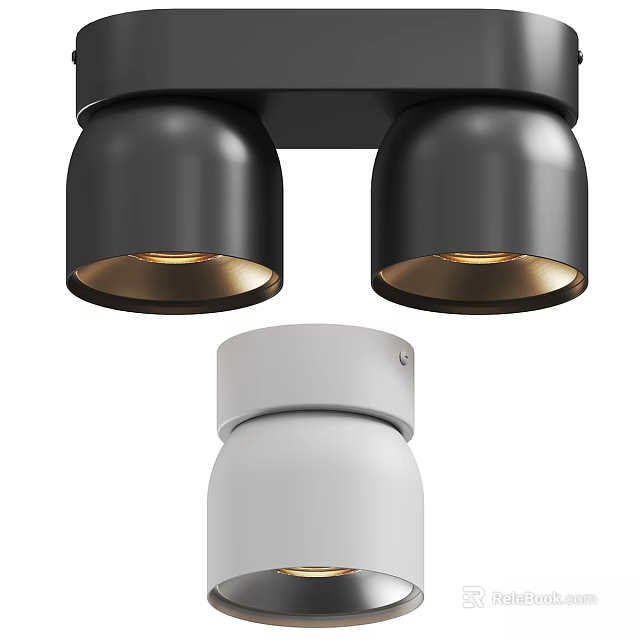 Modern Black Double Head Downlights And White Spotlights With Metallic Warm Light 3d model 