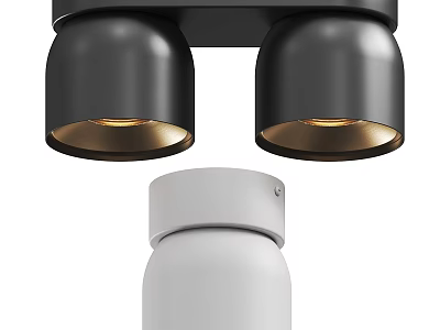 Modern Black Double Head Downlights And White Spotlights With Metallic Warm Light 3d model