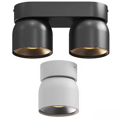 Modern Black Double Head Downlights And White Spotlights With Metallic Warm Light 3d model