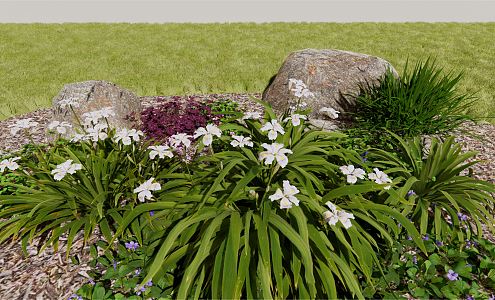 Modern flowers and plants flat bamboo orchid flat bamboo orchid flower bush white flower bed 3d model