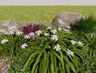 Modern flowers and plants flat bamboo orchid flat bamboo orchid flower bush white flower bed 3d model