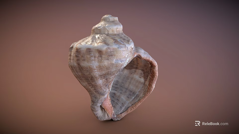 Fantasy Adventure Game Character With Detailed Conch Shell Prop Design 3d model 