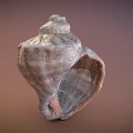 Fantasy Adventure Game Character With Detailed Conch Shell Prop Design