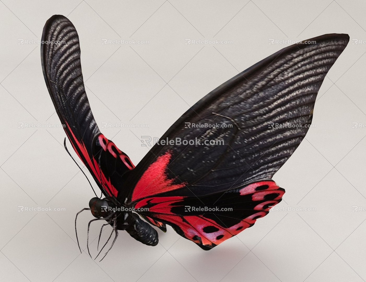 Flying Animal Butterfly 3d model