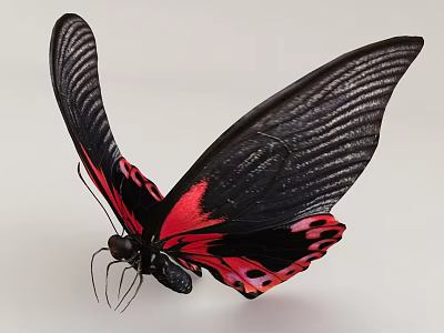 Vibrant Red Black Butterfly With Open Wings On Light Background 3d model