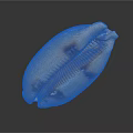 Modern Conch Bone Snail Field Snail 3d model