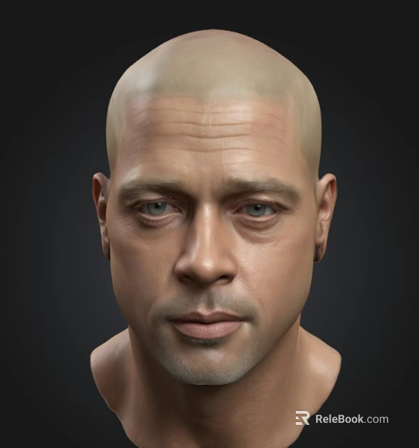 Realistic 3D Male Bald Head Model With Blue Eyes Wrinkles And Facial Details 3d model 
