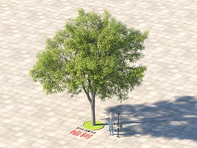 Arbor with Lush Green Foliage on Paved Ground and Measuring Tools Nearby 3d model