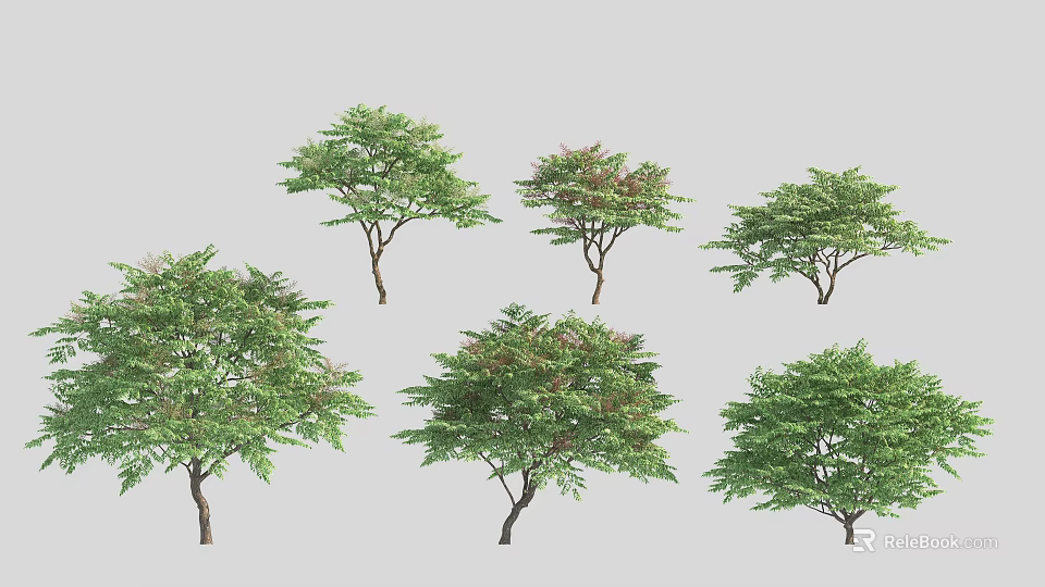 Six Arbor Trees With Lush Green Foliage And Various Shapes 3d model