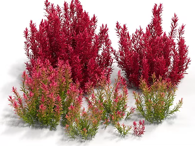 Red And Green Decorative Aquatic Plants Freshwater Foliage Clusters For Ponds 3d model
