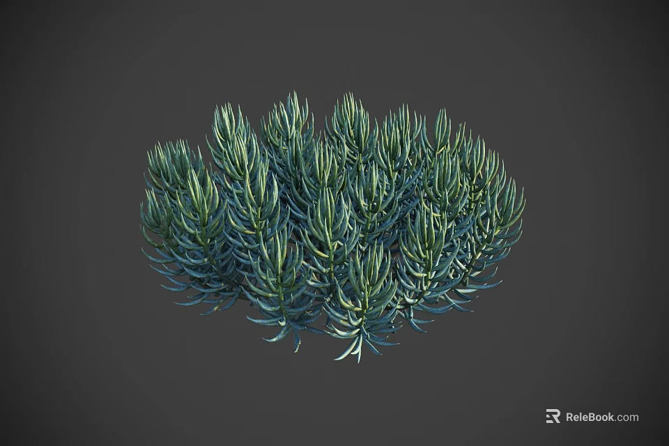 Lush Green Bonsai Plant With Slender Leaves And Compact Decorative Foliage 3d model 