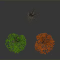 Three Varied Trees With Green Foliage Red Leaves And Leafless Branches On Dark Background