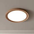 Round Design Flush Mount Ceiling Light With Golden Frame And White Light 3d model