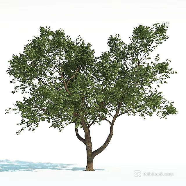 Lush Green Arbor With Dense Foliage And Strong Trunk In Natural Environment 3d model 