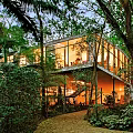 Modern Detached Villa With Glass Facade Surrounded by Lush Trees and Greenery