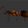 Realistic 3D Rendered Ant With Red Head Black Abdomen And Long Legs