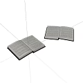 Two Open Books With Text Pages On Clean White Background 3d model
