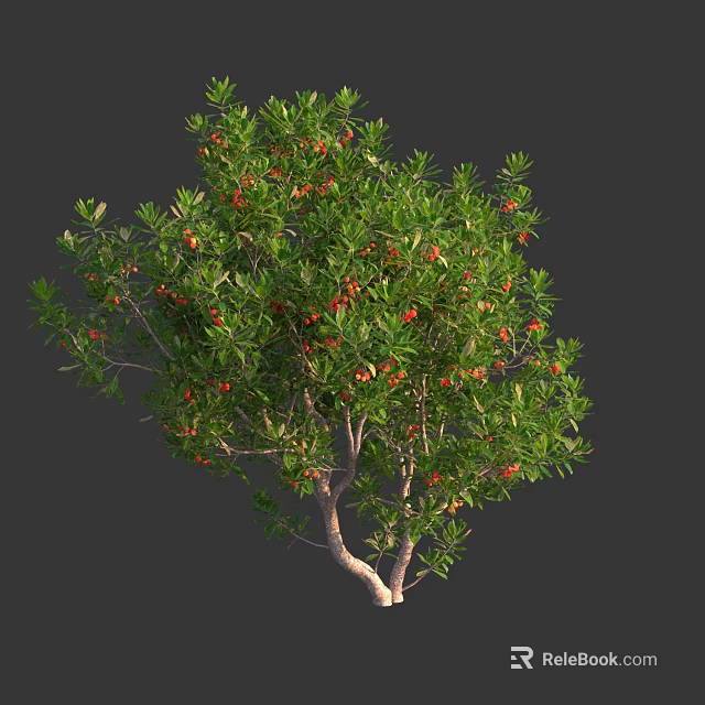 Lush Tree With Green Leaves And Red Fruits In Natural Growth 3d model 