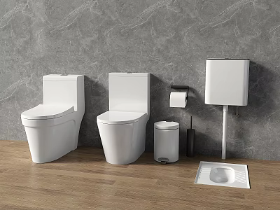 White Toilets with Toilet Paper Holder Trash Can Squat Toilet Gray Wall Wooden Floor 3d model