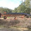 Spotted Freshwater Aquatic Animal With Long Snout Sharp Teeth And Elongated Body