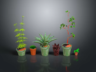 Various Types Of Green Plants In Different Size And Color Pots Against Gray Background 3d model