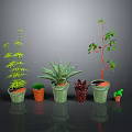 Various Types Of Green Plants In Different Size And Color Pots Against Gray Background