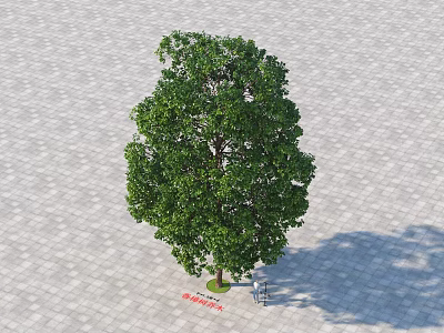 Lush Arbor Tree With Dense Green Foliage On Paved Ground And Natural Shadow 3d model