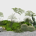 Mixed Green Plants Garden Display With Ferns Cacti Succulents Stones And Gravel