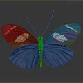 Dark Brown Butterfly With White Spots On Spread Wings Against Dark Smooth Background