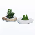 Modern Outdoor Chairs With Circular Design Wooden And White Frames Featuring Potted Plants