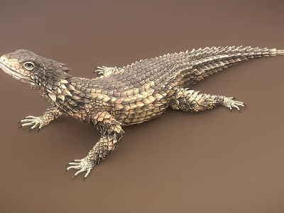 Reptile Lizard with Rough Textured Scales Resting on Brown Surface Displaying Natural Body Features 3d model