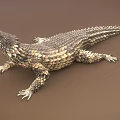 Reptile Lizard with Rough Textured Scales Resting on Brown Surface Displaying Natural Body Features