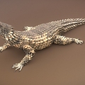 reptile rare animal lizard 3d model