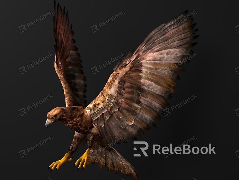 Realistic Animal High Precision Biological Eagle Golden Eagle model